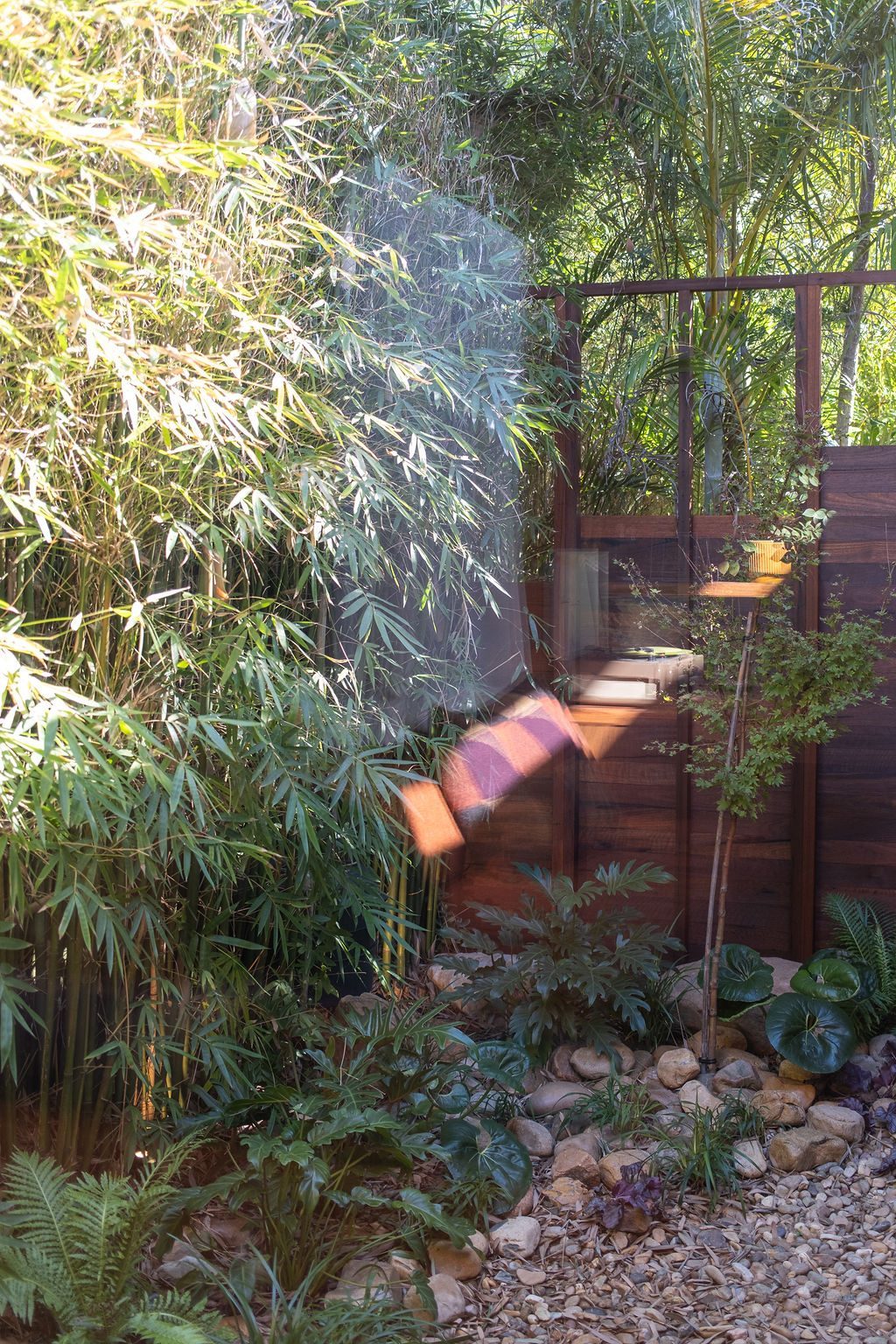 Bibby maple tree — Studio Serene, Newcastle