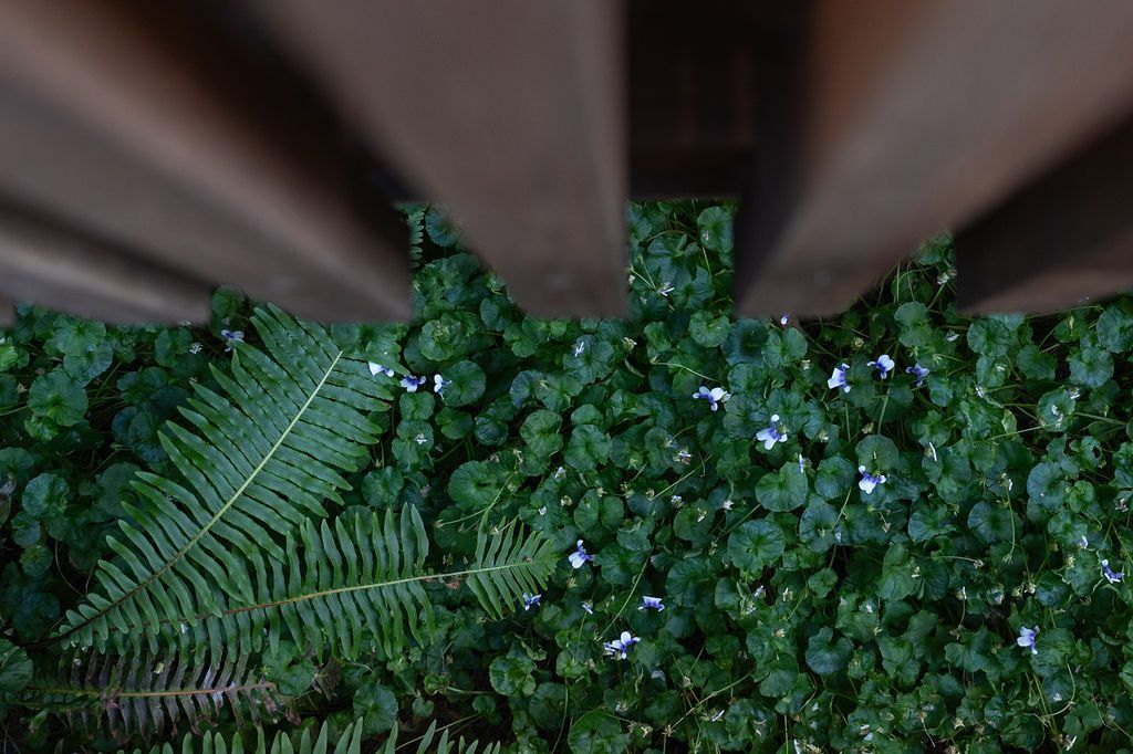 Residential landscape design Newcastle — Studio Serene