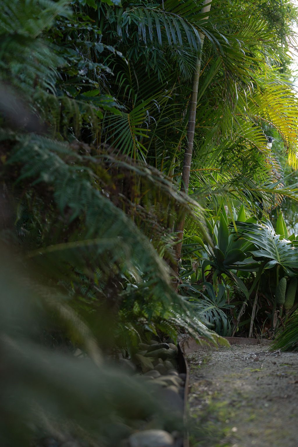 Dudley dry creek bed — Studio Serene, Newcastle