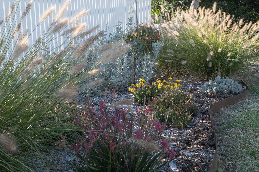 Residential landscape design Newcastle — Studio Serene