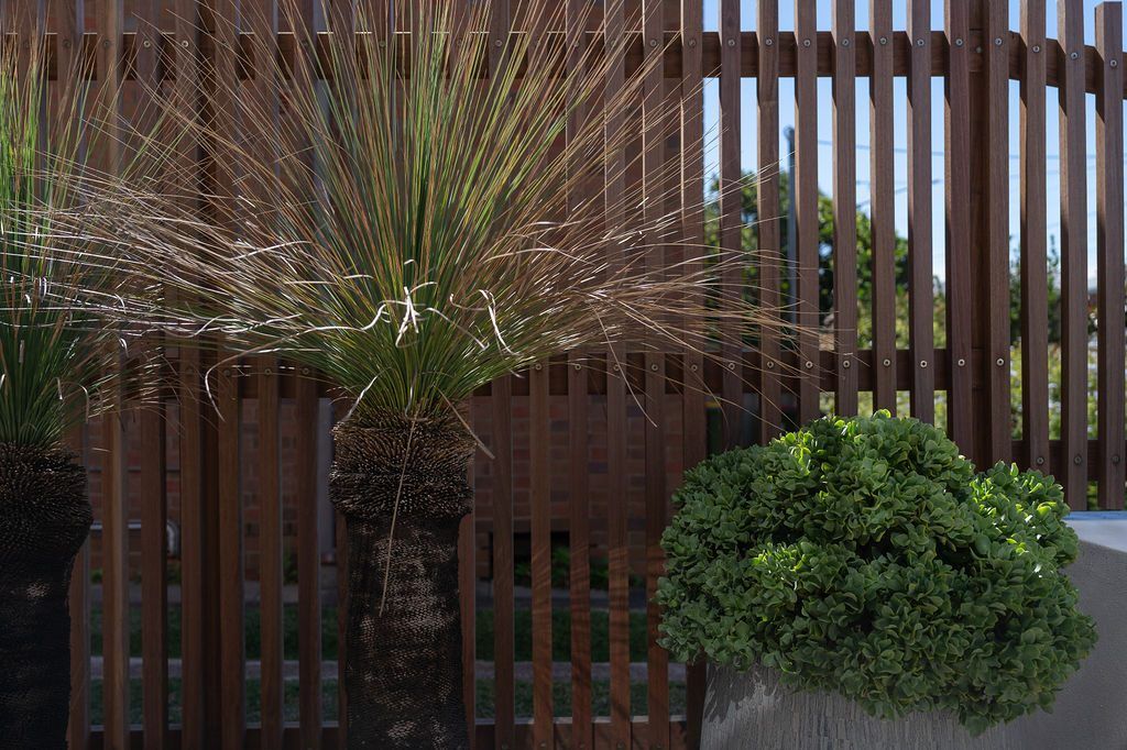 Residential landscape design Newcastle — Studio Serene