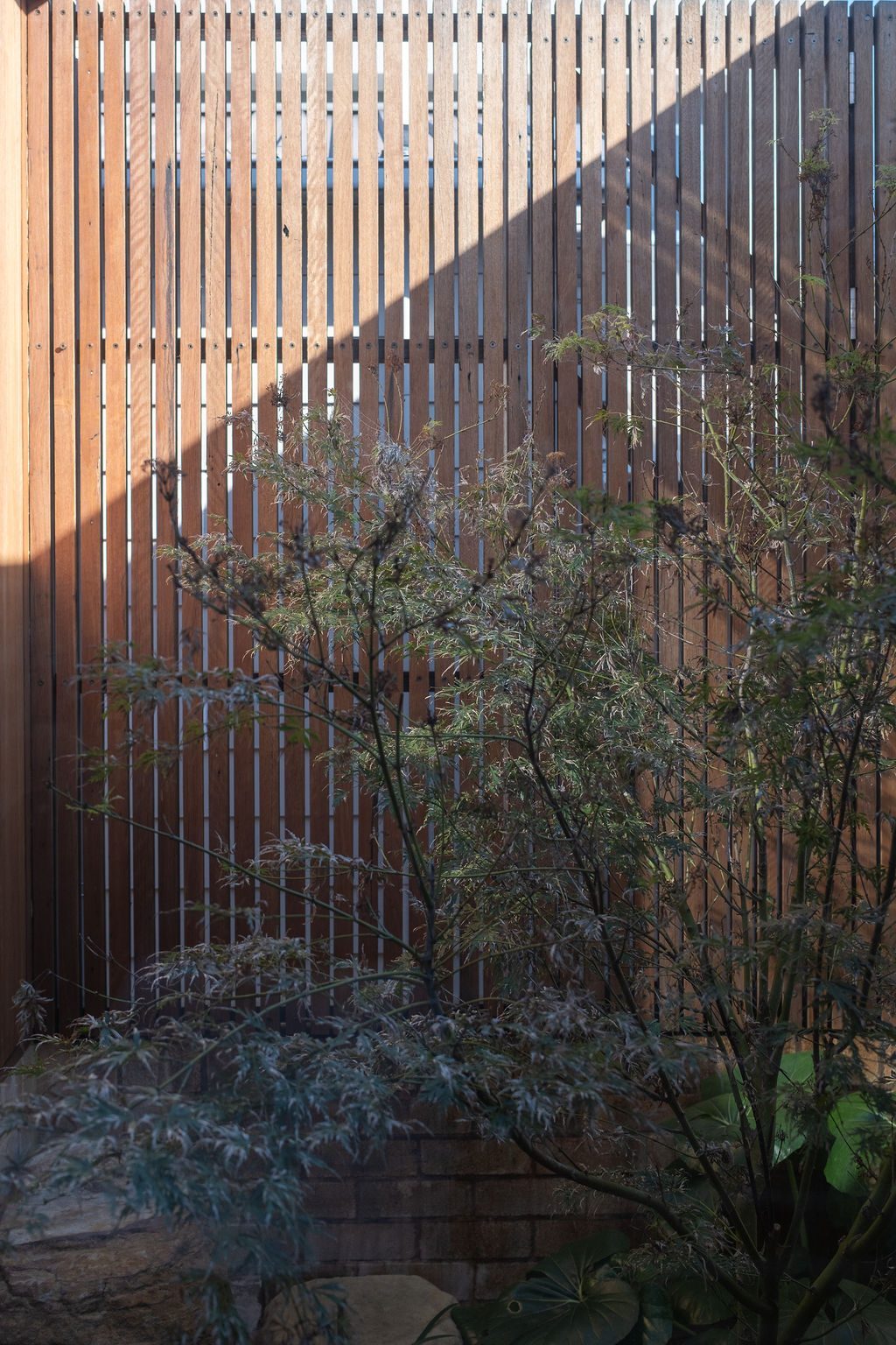Maryville courtyard — Studio Serene, Newcastle