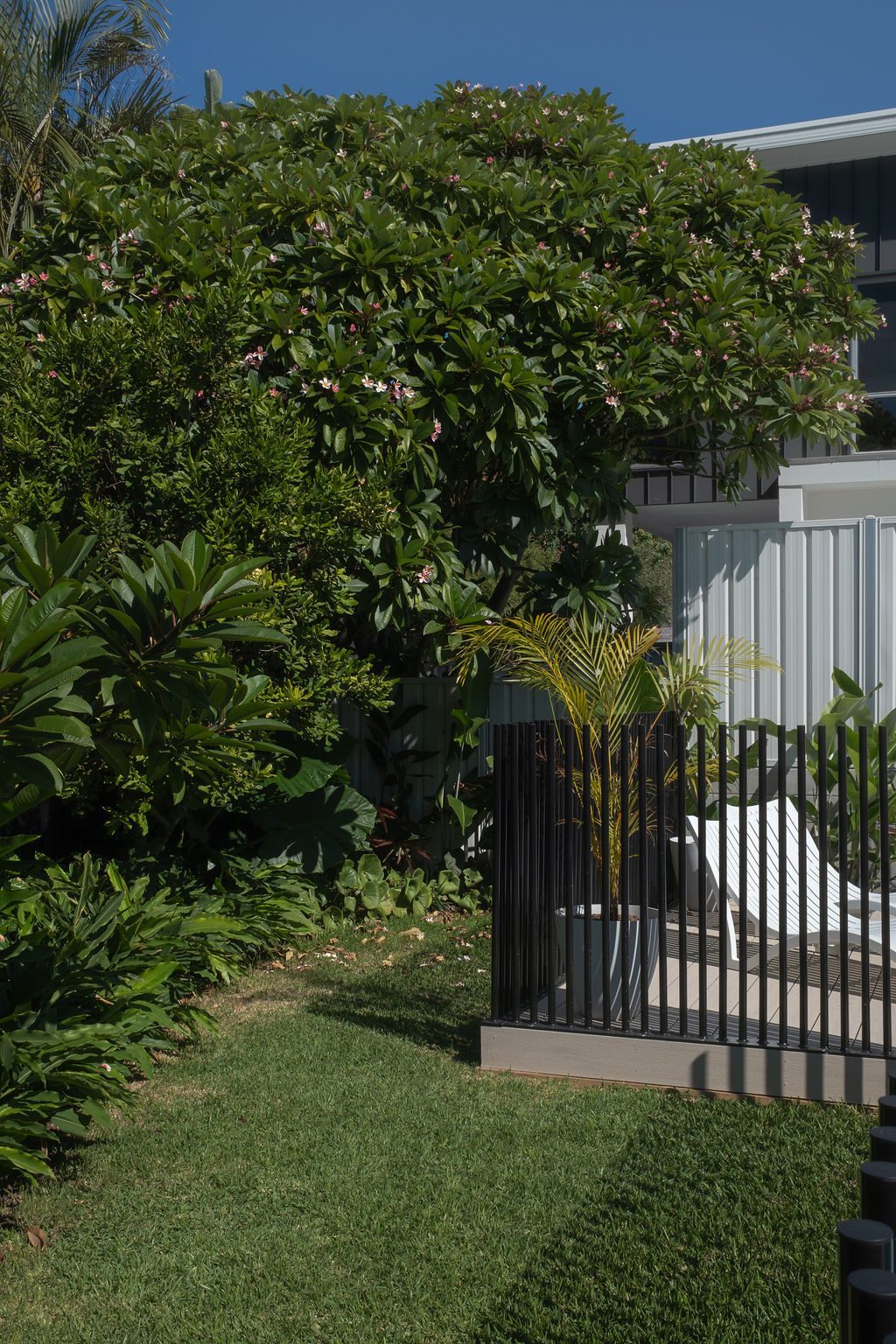 Merewether pic fencing — Studio Serene, Newcastle