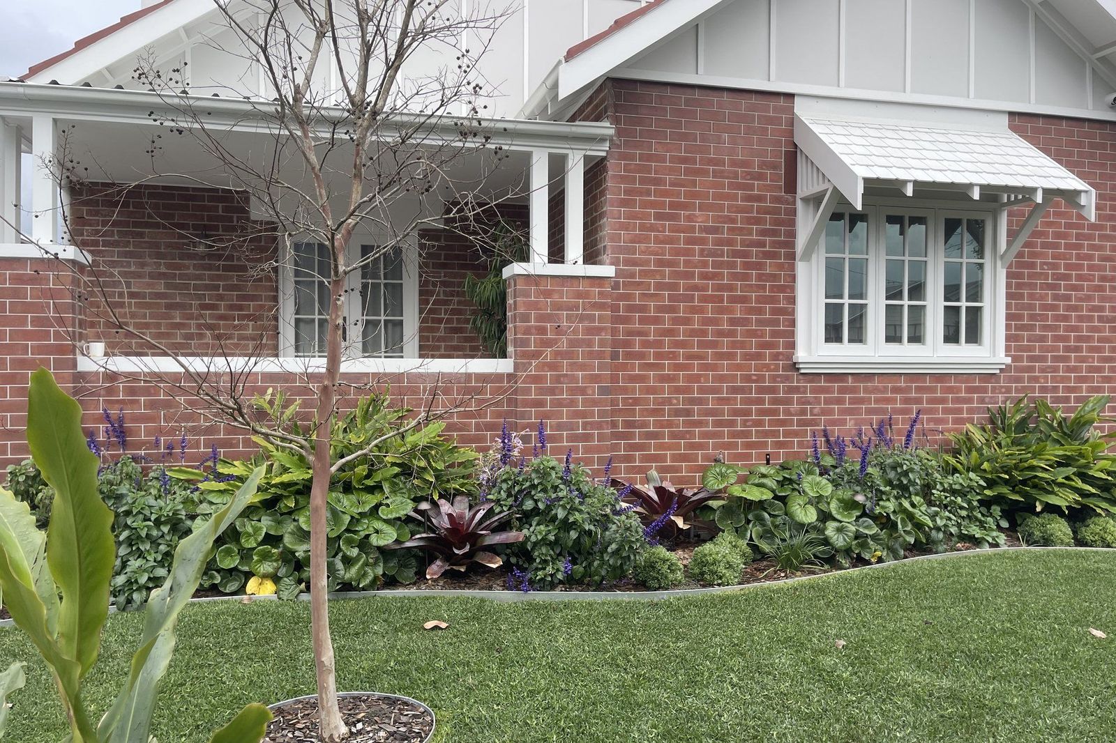 Turnbull front planting — Studio Serene, Newcastle