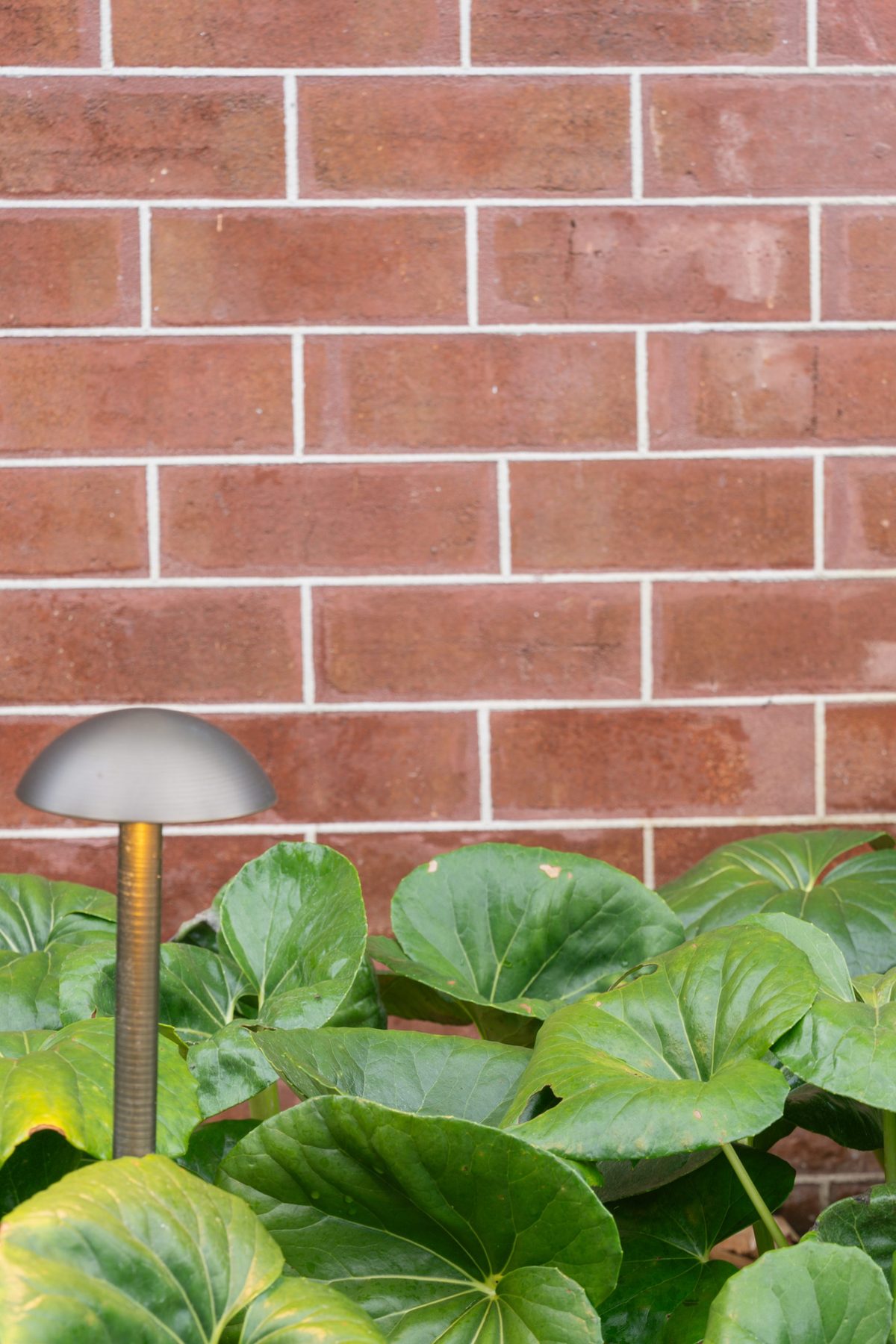 Turnbull gardens at night — Studio Serene, Newcastle