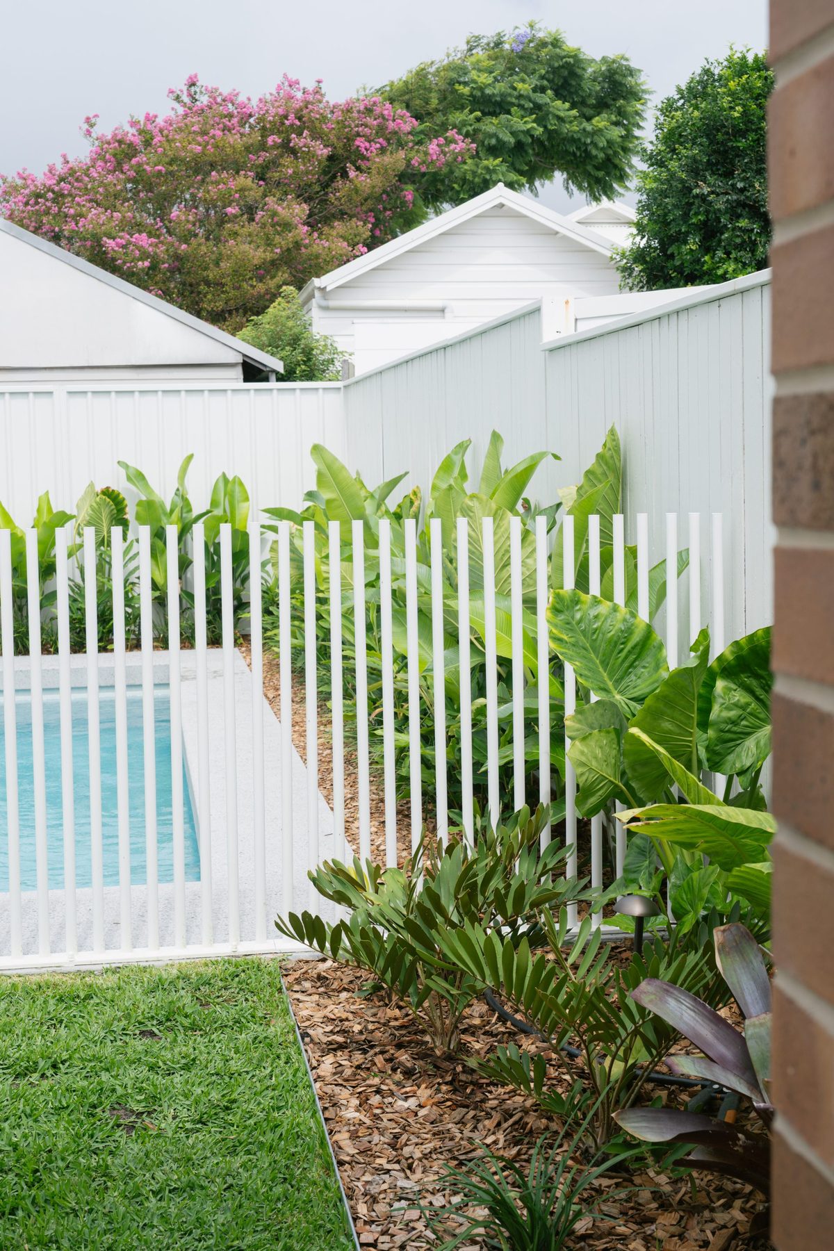 Turnbull poolside fencing — Studio Serene, Newcastle