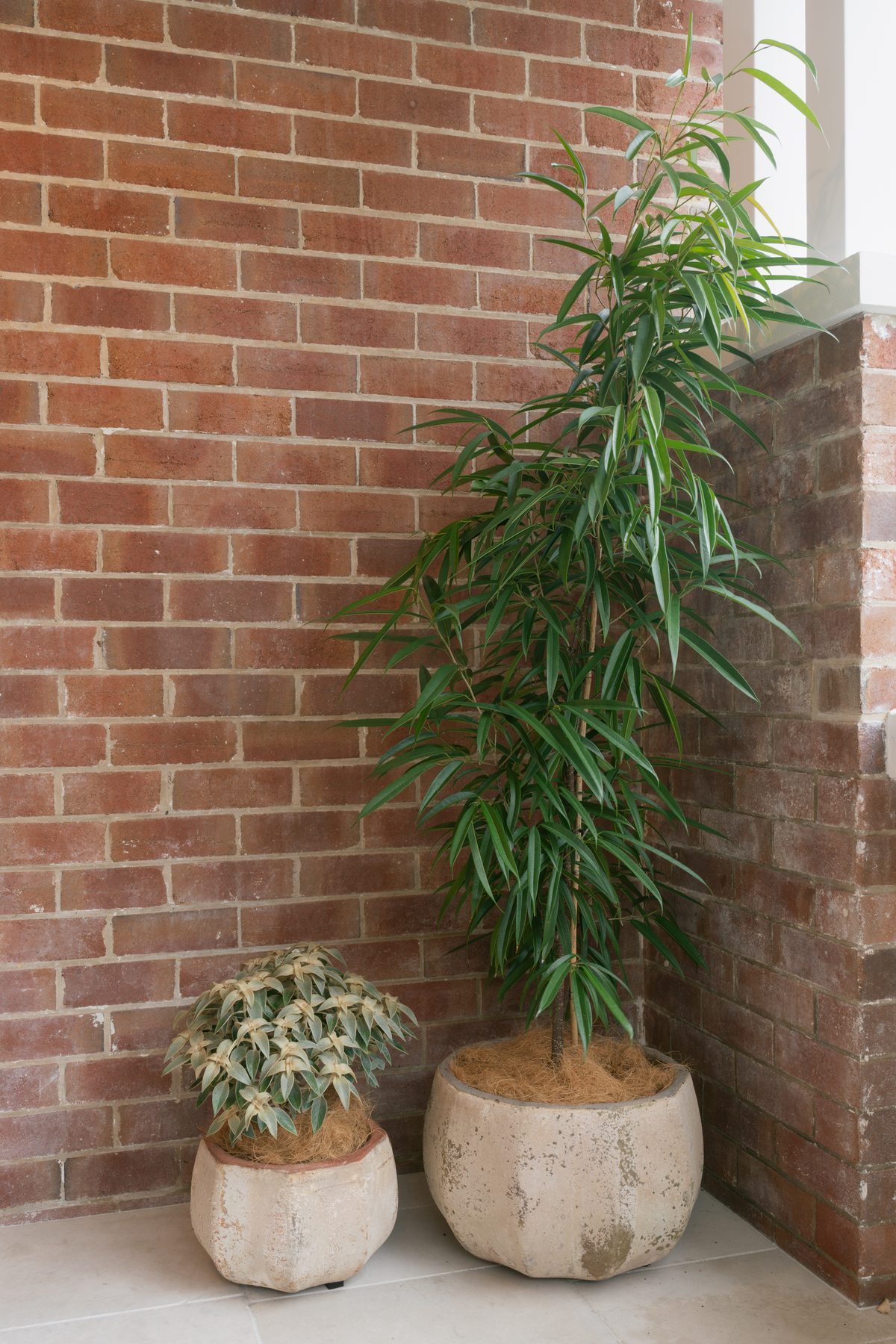 Turnbull pots — Studio Serene, Newcastle